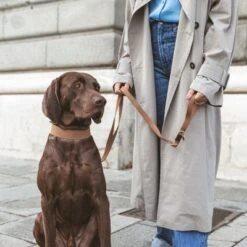 Nomad Tales Bloom Leash, Caramel -Pet Supplies Store 328697 328698 328397 328398 328399 nomad tales bloom halsbaender 04 2 1