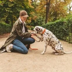 Nomad Tales Spirit Collar, Tangerine -Pet Supplies Store 328896 nomad tales halsband tangerine leine 02 8