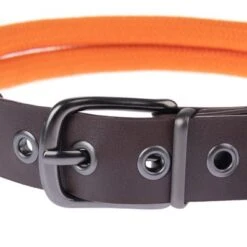 Nomad Tales Spirit Collar, Tangerine -Pet Supplies Store 329297 nomad tales spirit leinen halsbaender fg 1754 8