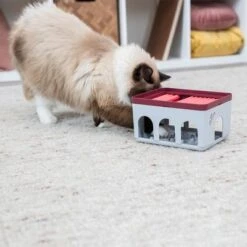 Trixie Cat Activity Rod Box -Pet Supplies Store 332214 trixie cat activity rod box hs 09 1