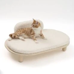 Modern Living Sofa Osaka 17 Modern Living Sofa Osaka -Pet Supplies Store 342803 modern living osaka katze 0629 4