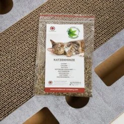 CanadianCat Company Cat Playground PlayPlate -Pet Supplies Store 346598 canadiancat company katzenspielplatz playplate hs 10 0