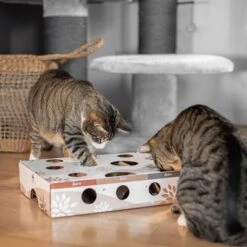 CanadianCat Company Intelligence Toy MagicBox -Pet Supplies Store 346599 canadiancat company intelligenzspielzeug magicbox hs 13 9