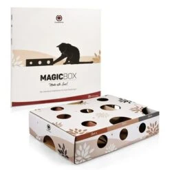 CanadianCat Company Intelligence Toy MagicBox