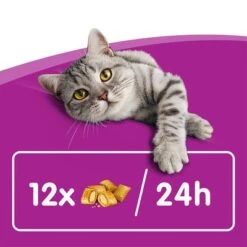 Whiskas Temptations Mixed Pack 12 Whiskas Temptations Mixed Pack -Pet Supplies Store 348898 mars whiskas snacks mixpack 16x60g hs 04 8