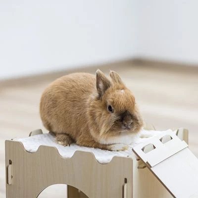 Kerbl Rodent Castle 10 Kerbl Rodent Castle - Image 8