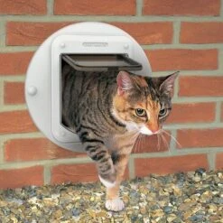 Cat Mate Microchip Cat Flap (360W) -Pet Supplies Store 361 wall fitting 06 2014 6