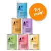 Catz Finefood Can Mixed Trial Pack 6 X 400g