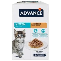 Advance Kitten Chicken