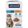 Advance Feline Adult Chicken -Pet Supplies Store 374597 affinity advance feline adult huhn hs 03 4