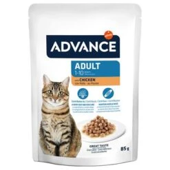 Advance Feline Adult Chicken -Pet Supplies Store 374597 affinity advance feline adult huhn hs 04 8
