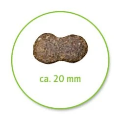 Belcando Adult Lamb & Rice -Pet Supplies Store 387513 belcando lamb rice 8