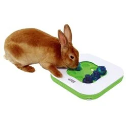 HAGEN Interactive Toy Living World 3 In 1 -Pet Supplies Store 39158 livingworld version4 7