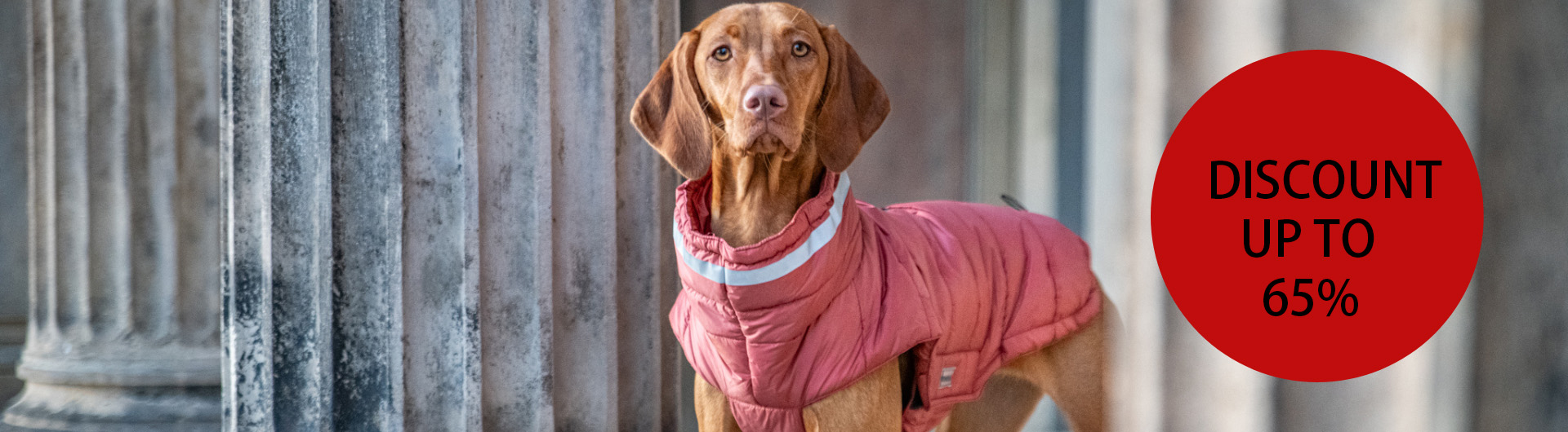 Pet Supplies Store -Pet Supplies Store 4