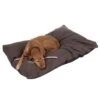 Champion Dog Cushion -Pet Supplies Store 433716 hundekissen champion 06 dsc0547 9