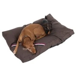 Champion Dog Cushion 17 Champion Dog Cushion -Pet Supplies Store 433716 hundekissen champion 09 dsc0552 5