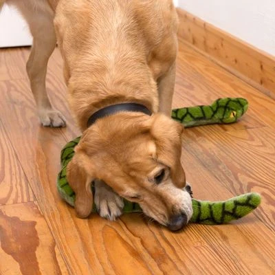 Giant Snake Dog Toy 8 Giant Snake Dog Toy - Image 6