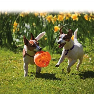 KONG Jumbler Ball 4 KONG Jumbler Ball - Image 2