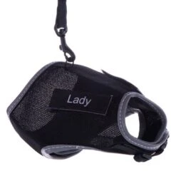 Pet Supplies Store -Pet Supplies Store 457257 xcat katzengeschirr mit leine und sticker fg dsc1310 0