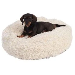Dog Cushion - Cream -Pet Supplies Store 51120 dog o dsc1461 5