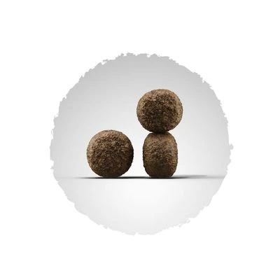 Josera High Energy 5 Josera High Energy - Image 3