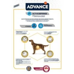 Advance Sensitive Adult Lamb & Rice -Pet Supplies Store 53109 advance adult lamb 12kg hs 06 7