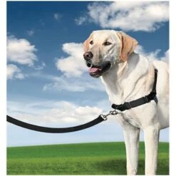 PetSafe® Easy Walk® Harness -Pet Supplies Store 596657 ew s w hund 1