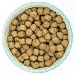 Burns Chicken & Oats - Adult & Senior Weight Control+ 13 Burns Chicken & Oats - Adult & Senior Weight Control+ -Pet Supplies Store 5 weight control 9