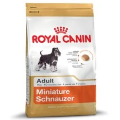 Royal Canin Miniature Schnauzer Adult -Pet Supplies Store 61156 PLA rgb Royal Canin Miniature Schnauzer 6