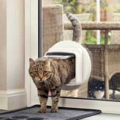 SureFlap DualScan Microchip Cat Flap 12 SureFlap DualScan Microchip Cat Flap -Pet Supplies Store 62267 sureflap mikrochip katzenklappe hs 05 3