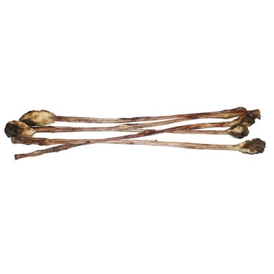 Caniland Calf Pizzle 3 Caniland Calf Pizzle