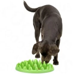 NORTHMATE ® Green Feeder -Pet Supplies Store 62796 northmate green feeder mit hund 8