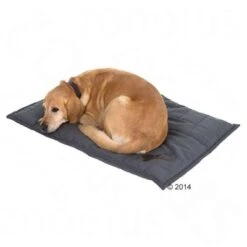Freedom Dog Cushion – Bone -Pet Supplies Store 62899 kissen freedom bone 06 3