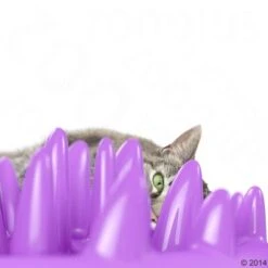 NORTHMATE ® Catch Cat Feeder -Pet Supplies Store 63169 karlie flamingo northmate catch mit katze1 5