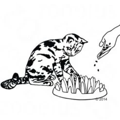 NORTHMATE ® Catch Cat Feeder -Pet Supplies Store 63169 karlie northmate catch zeichnung 0