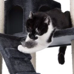 Rapunzel Cat Tree -Pet Supplies Store 64697 rapunzel darkgray fg 25 6