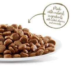 Applaws Chicken & Duck Cat Food -Pet Supplies Store 64767 applaws cat adult huhnente 2kg hs 04 0