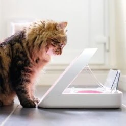 SureFeed Microchip Pet Feeder -Pet Supplies Store 65566 surefeed microchip pet feeder hs 01 1