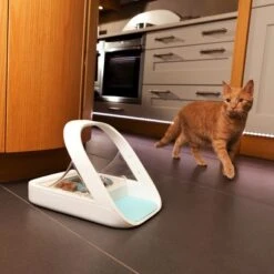 SureFeed Microchip Pet Feeder -Pet Supplies Store 65566 surefeed microchip pet feeder hs 06 0