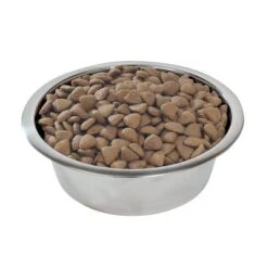 Purina Pro Plan Medium Adult Everyday Nutrition -Pet Supplies Store 66993 mediumadult optibalance hs 02 6