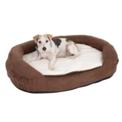 Oval Memory Foam Dog Bed - Brown -Pet Supplies Store 67053 hundebett memory oval braun fg 3424 7