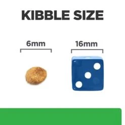 Hill's Prescription Diet Feline R/d Weight Reduction - Chicken -Pet Supplies Store 67 pd rd cat bk24502m food look uk 9