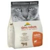 Almo Nature Holistic Adult Cat - Beef & Rice -Pet Supplies Store 68102 pla almonature rind reis 2kg 6