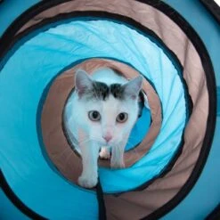 Connect 2-in-1 Cat Tunnel -Pet Supplies Store 69261 katzentunnel connect 2in1 fg 3167 2