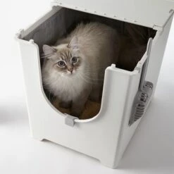 Modkat Flip Cat Litter Box -Pet Supplies Store 69620 pla modko katzentoiletteflip halfopen wcat 1