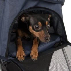 Sporty Pet Stroller For Small Dogs -Pet Supplies Store 71006 sporty pet stroller fg 8107 6