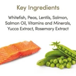 Applaws Cat Food Economy Packs -Pet Supplies Store 71009 applaws adult meeresfisch lachs hs 02 5