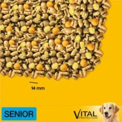 Pedigree Senior 8+ -Pet Supplies Store 71792 mars pedigree senior8 hs 01 2