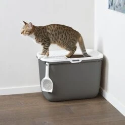 Savic Hop In Litter Box -Pet Supplies Store 73657 savickatzentoilette hopin hs 09 6
