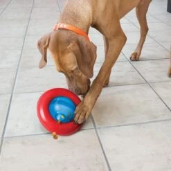 KONG Gyro 9 KONG Gyro -Pet Supplies Store 74248 kong gyro 1